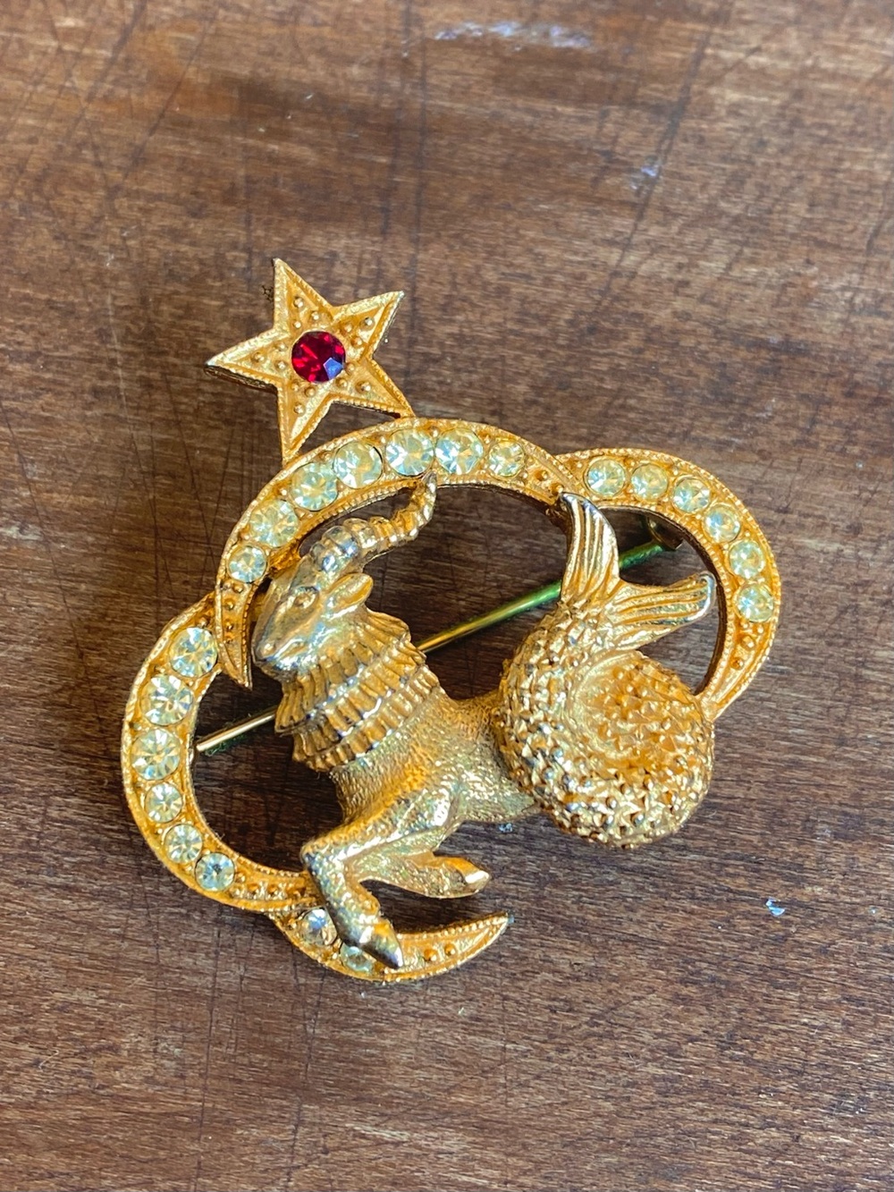 Gold-Tone Capricorn Zodiac St. Labre Brooch with Red Star Accent